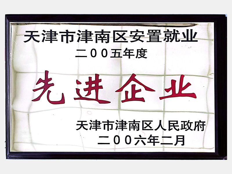 天津市津南區(qū)安置就業(yè)二OO五年度先進企業(yè)